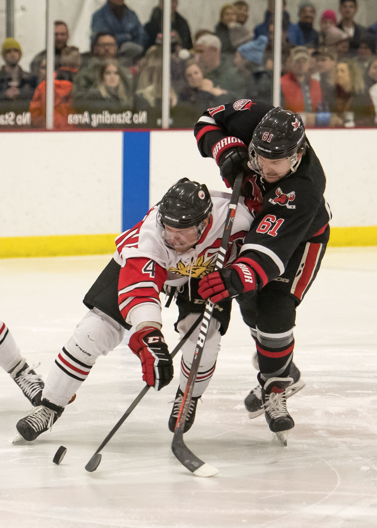 Moose hockey playoffs